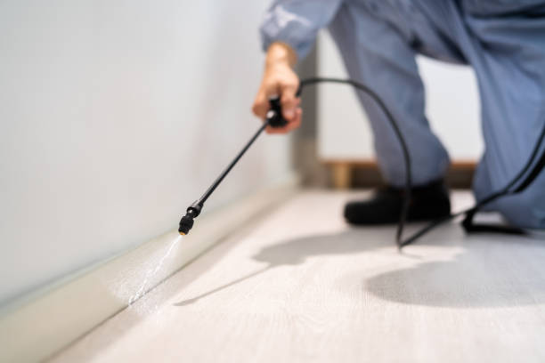 Licensed Cockroach Control service in Forest Heights, MD - Nex Pest Control