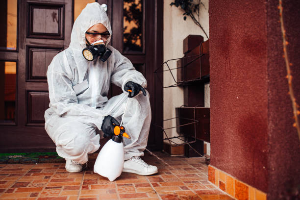 Reliable Cockroach Control contractor in Forest Heights, MD by Nex Pest Control