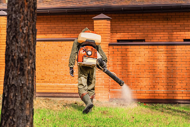Top rated local Cockroach Control specialists in Forest Heights, MD